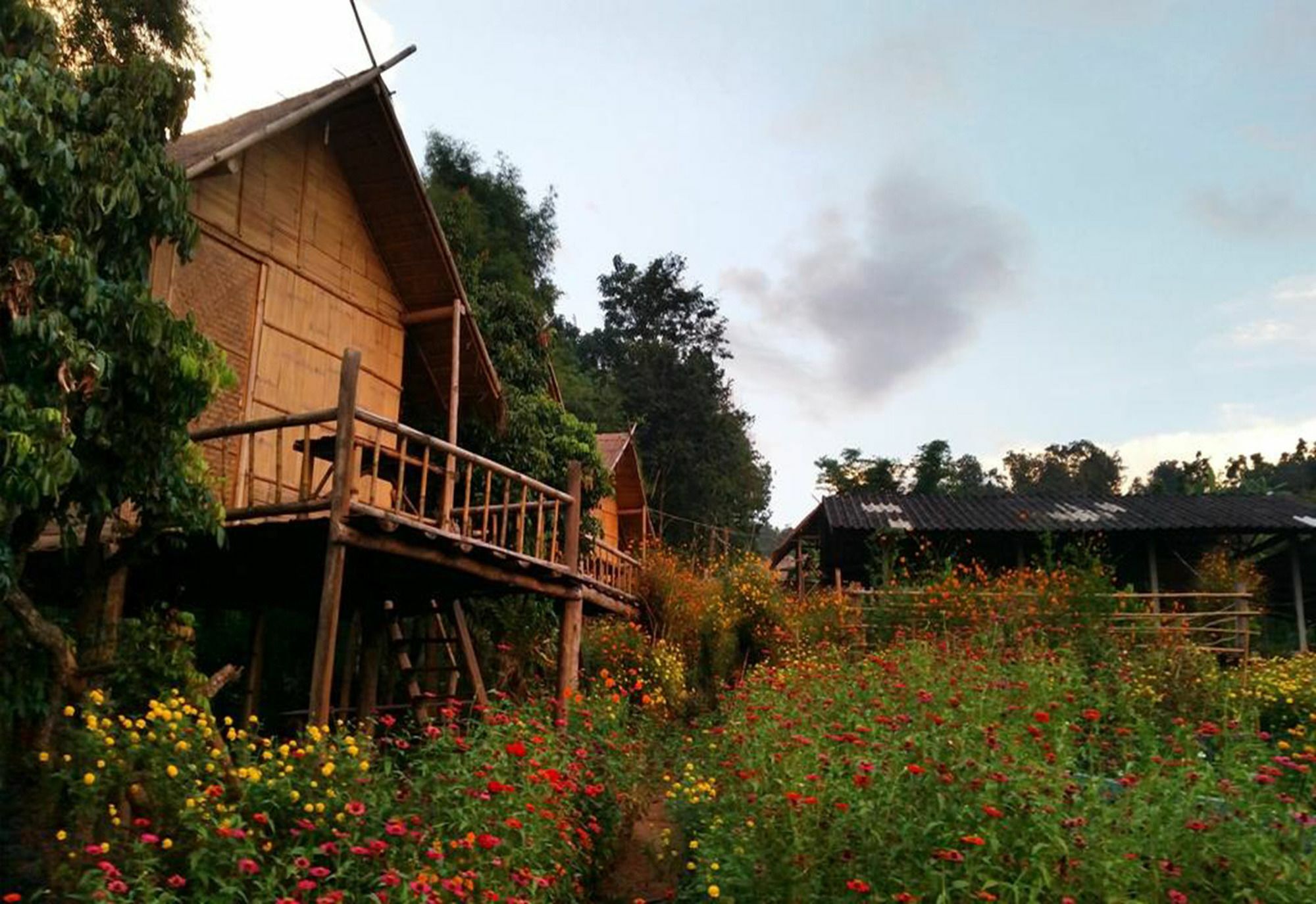 Baan Aingdoi Homestay, チェンダオ エクステリア 写真
