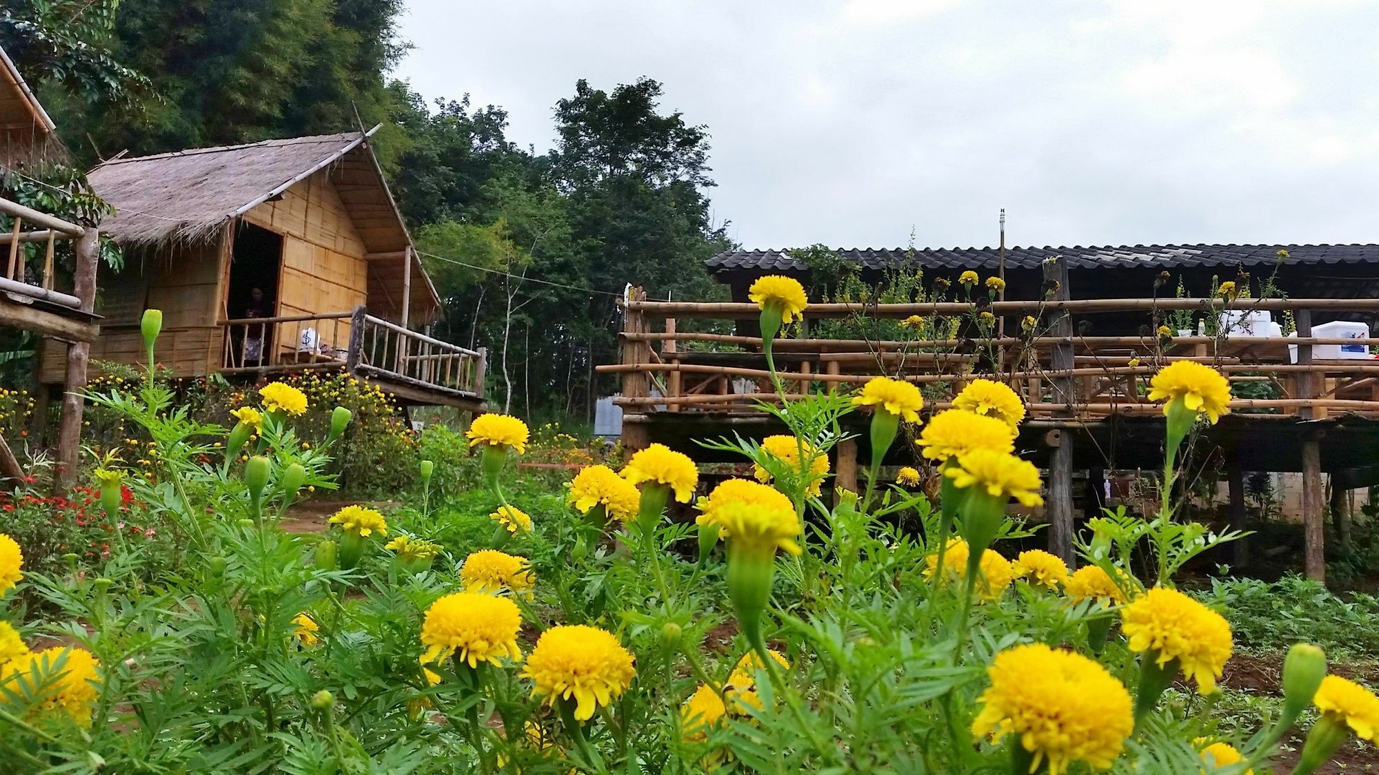 Baan Aingdoi Homestay, チェンダオ エクステリア 写真