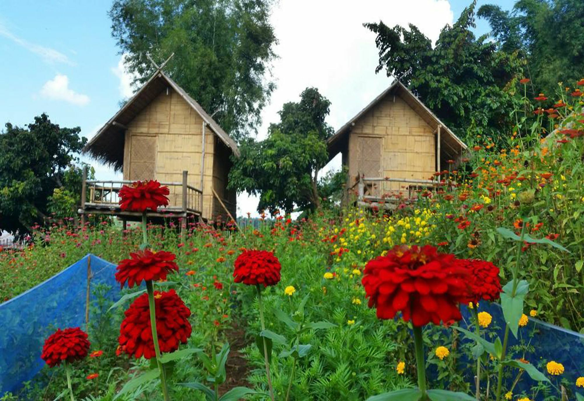 Baan Aingdoi Homestay, チェンダオ エクステリア 写真
