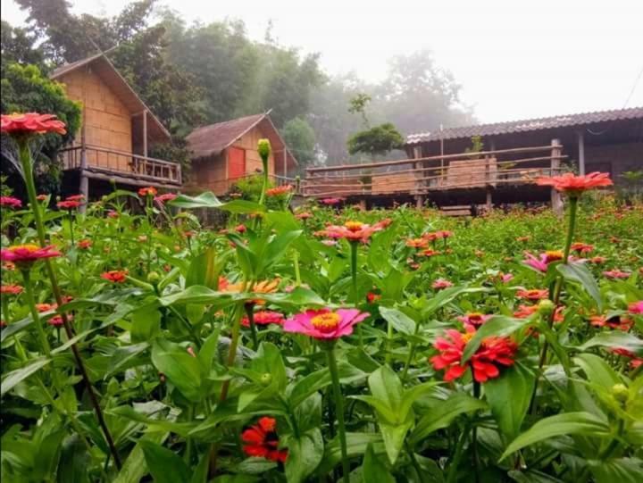 Baan Aingdoi Homestay, チェンダオ エクステリア 写真