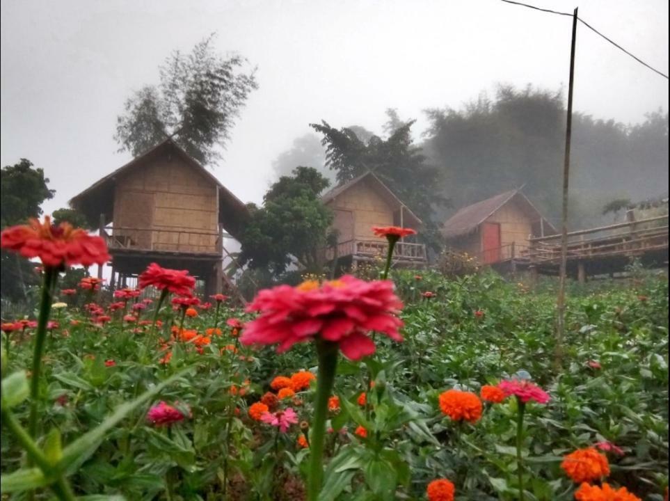Baan Aingdoi Homestay, チェンダオ エクステリア 写真